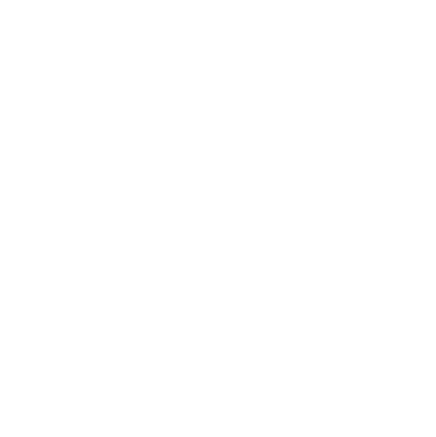 Lubna Helewa Portfolio